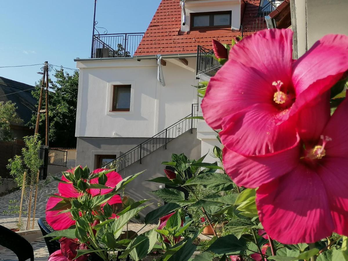 Szigligeti Mandula Kert Vendeghaz Apartment Exterior foto